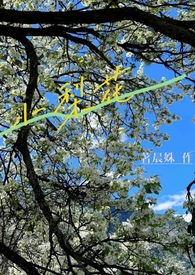 夏琳华夏银行石家庄